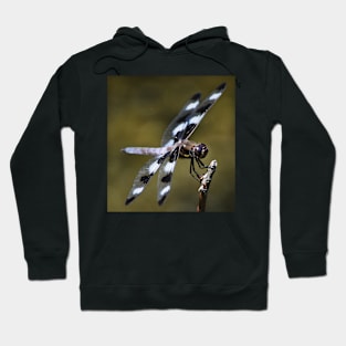 Twelve-spotted Skimmer Hoodie